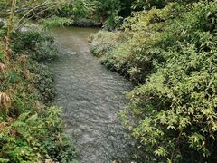 -桤木河湿地公园