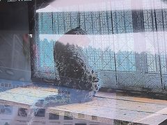 -青藏高原野生动物园