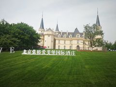 -北京张裕爱斐堡酒庄
