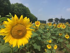 -南京信息职业技术学院