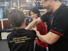 -温鉴良实用咏春拳