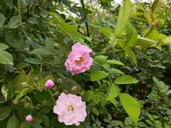 -白鹭湾湿地公园