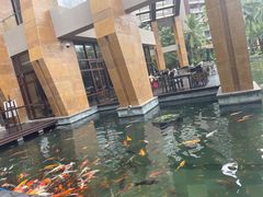 -三亚湾海居铂尔曼度假酒店