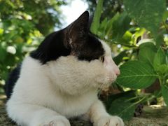 -杭州六谷生态休闲农庄有限公司