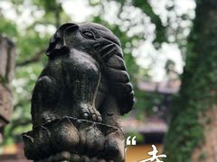 -普陀山风景名胜区-法雨禅寺
