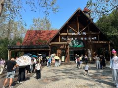 -合肥滨湖国家森林公园