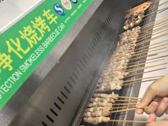 -尚庄度假村·庭台树下·户外烧烤·团建CS·轰趴营地(上庄水库店)