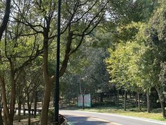 -宝界山林公园