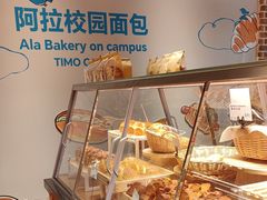 -TIMO COFFEE 阿拉校园面包
