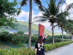 -亚龙湾国际玫瑰谷