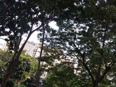 iphone_upload_pic-兆祥公园