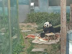 -大连森林动物园