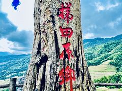 -龙脊梯田