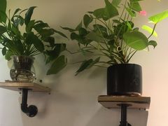 -紫腾大院·南京菜(江宁店)