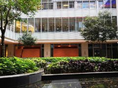 -香港大学