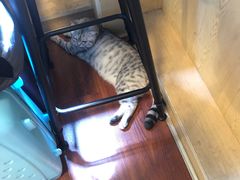 -H立方实景剧情密室(天河旗舰店)