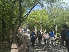 -灵岩山风景区