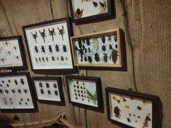 -Zoolung Zoolung动物主题公园(海信广场店)