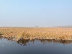 -野鸭湖国家湿地公园