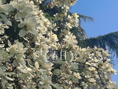 -西安石油大学(雁塔校区)