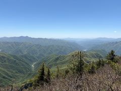 -牛背梁国家森林公园