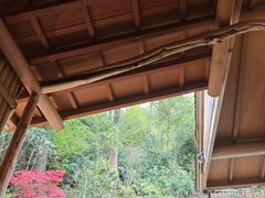 -有马温泉 竹取亭円山温泉旅馆