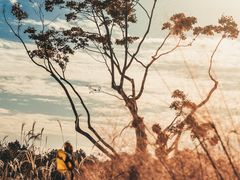 -上海植物园-4号门售票处