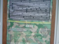 -滨江森林公园-真人CS野战场