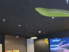 -梵猫·新养生(鹭江大同店)