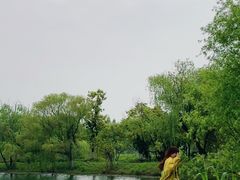 -苏州太湖国家湿地公园