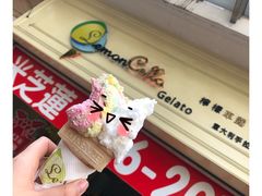 -柠檬车露(卖草地店)
