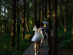 -白草畔自然风景区