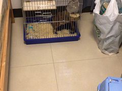 -龙猫仔乐园(惠福东路店)