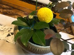 -白鹭原茶艺馆