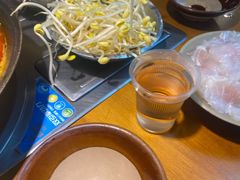 -阳阳老火锅(小南门店)