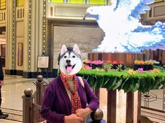 -上海和平饭店 Fairmont Peace Hotel