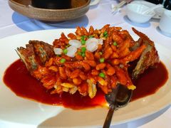 松鼠桂鱼-玫瑰厅上海菜(兴国路店)