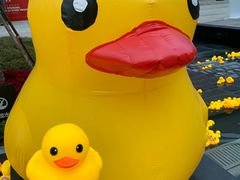 -新天地活力PARK