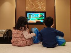 -廊坊固安福朋喜来登酒店