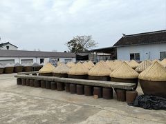 -苏州市吴中区光福窑上花果蜜饯厂