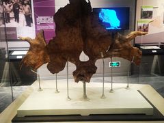 -北京周口店北京人遗址博物馆