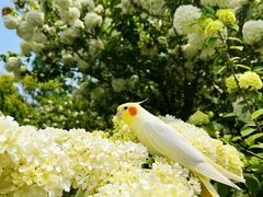 -上海滨江森林公园