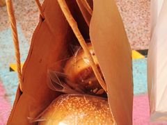 -原麦山丘(五棵松华熙店)