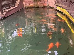 -乌镇景区