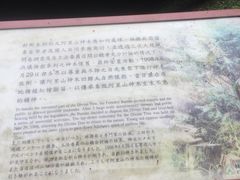 -阿里山神木遗迹