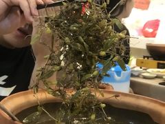 -洪大厨鸡煲(福田店)