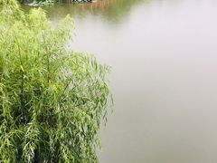 -上海怡沁园度假酒店