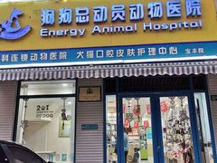 -总动员动物医院(宝丰院店)