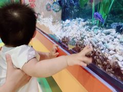 -中国宋庆龄青少年科技文化交流中心