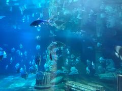 -梦幻海洋王国(吾悦广场张家港店)